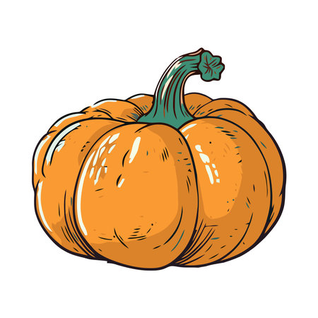 Fresh autumn vegetable, ripe pumpkin for eatingのイラスト素材