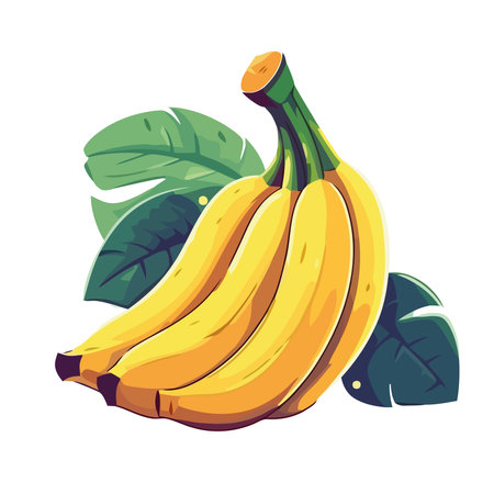 Ripe banana, a symbol of healthy eatingのイラスト素材