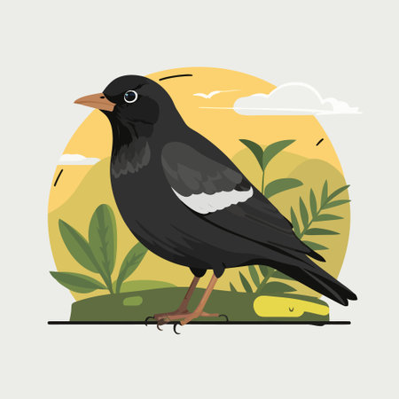 Common blackbird is a species of true thrush. It is also called Eurasian blackbird. Scientific name: Turdus merula. Cartoon flat style character of ornithology, vector illustration isolated on white.のイラスト素材