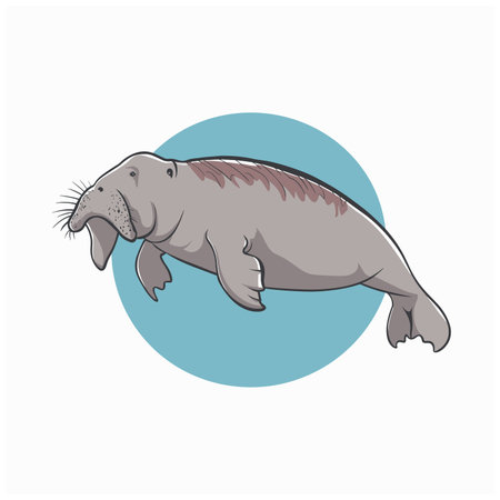 Cute cartoon dugong isolated on white background. Hand drawn vector illustration of Sea cow.のイラスト素材