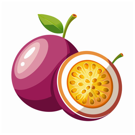 Passion fruit Vector Illustration isolated on white backgroundのイラスト素材
