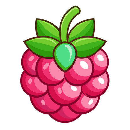 Raspberry fruits Vector Illustration isolated on white background
