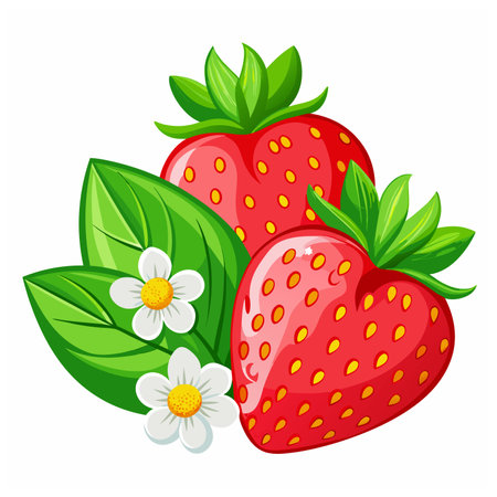 Strawberry fruit Vector Illustration isolated on white backgroundのイラスト素材