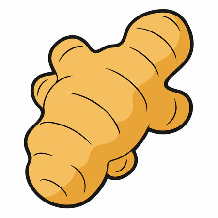 Ginger root icon. Cartoon illustration of ginger root vector icon for webのイラスト素材