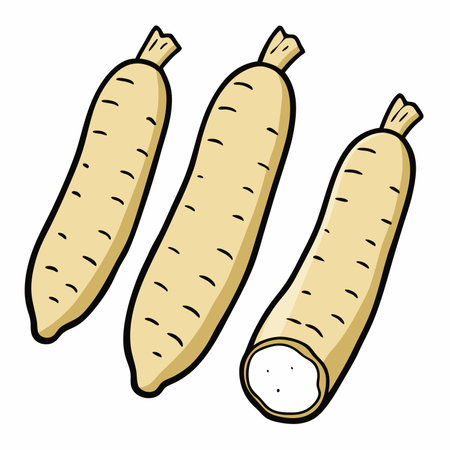 horseradish flat design vector illustration isolated on white background.のイラスト素材