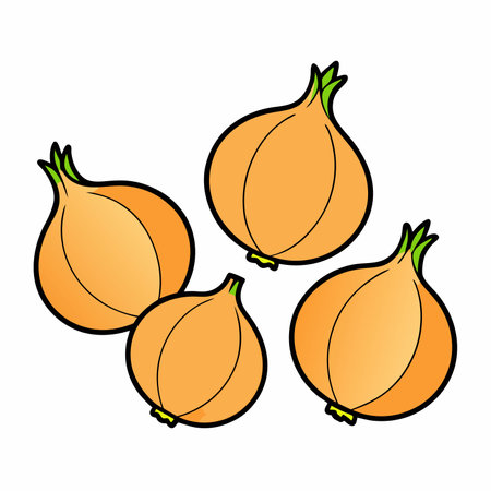 Onion bulb vector illustration icon. Yellow, white onion vegetable. Isolated.のイラスト素材