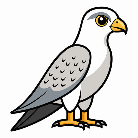 Eagle bird isolated flat vector illustrationのイラスト素材