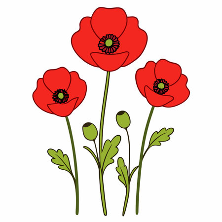 poppy flower in a row simple design vector illustration isolated on white backgroundのイラスト素材