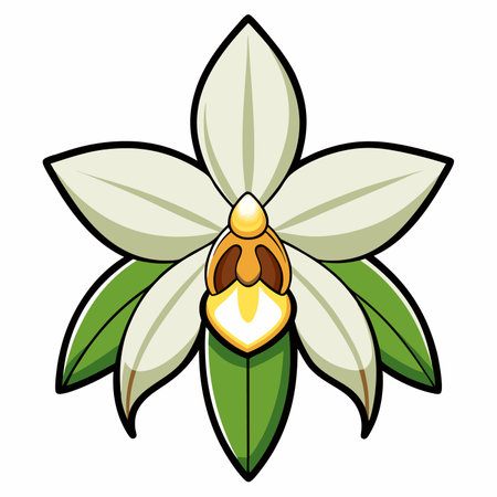 Orchid flower vector illustration designのイラスト素材