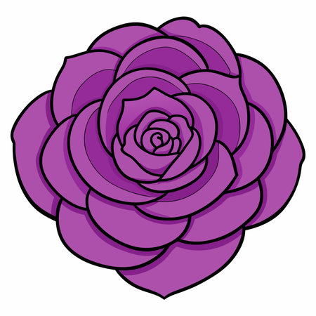 ranunculus flower vector Blooming buttercups Vector flat floral plants designのイラスト素材