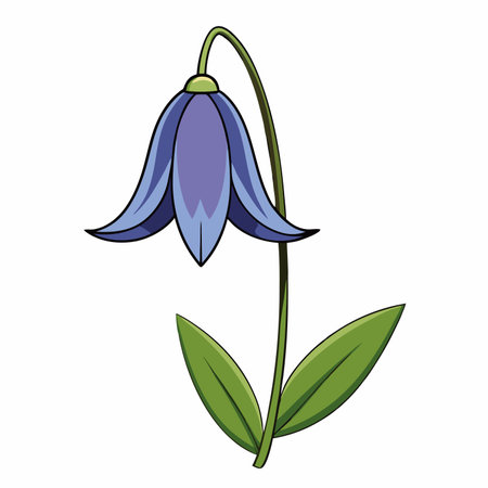 wildflower, leaf branch, foliage on white background.のイラスト素材