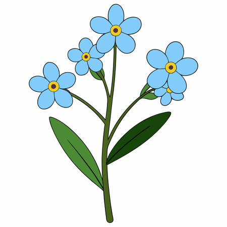 wildflower, leaf branch, foliage on white background.のイラスト素材