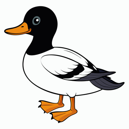 Duck flat vector illustration isolated on white background.のイラスト素材