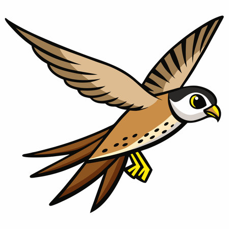 Bird Lesser Kestrel, bird characters vector illustration white-backgroundのイラスト素材