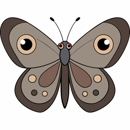 Satyr Butterfly vector illustrations on a white background.のイラスト素材