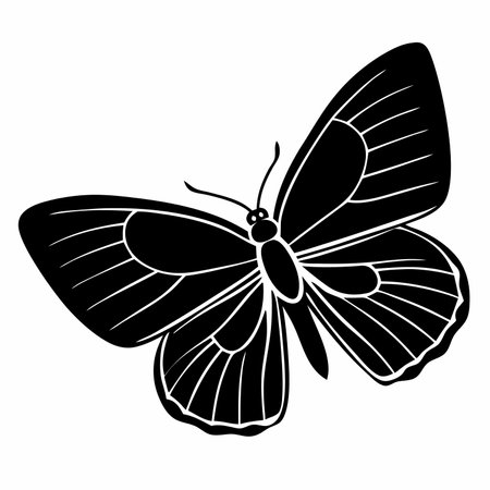 Small Copper butterfly vector illustrations on a white background.のイラスト素材