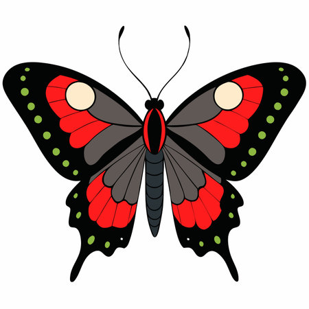 Swallowtail butterfly vector illustrations on a white background.のイラスト素材