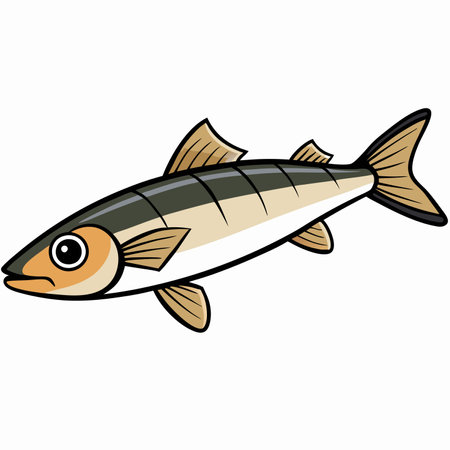 Minnow fish isolated flat vector illustration on white backgroundのイラスト素材