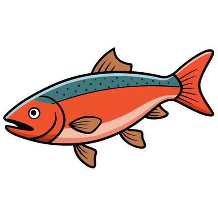 Salmon fish isolated flat vector illustration on white backgroundのイラスト素材