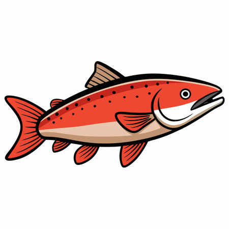 Trout fish isolated flat vector illustration on white backgroundのイラスト素材