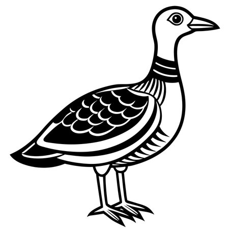 American Woodcock illustration flat vector designのイラスト素材