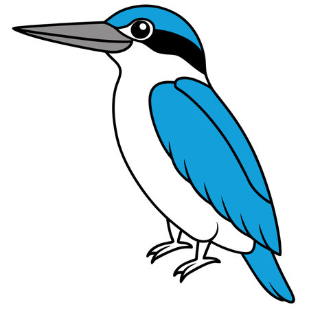 Common Kingfisher illustration white backgroundのイラスト素材
