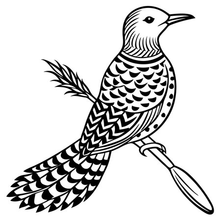 Northern Flicker illustration white backgroundのイラスト素材