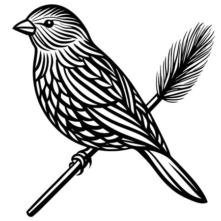 Pine Siskin vector illustration white backgroundのイラスト素材