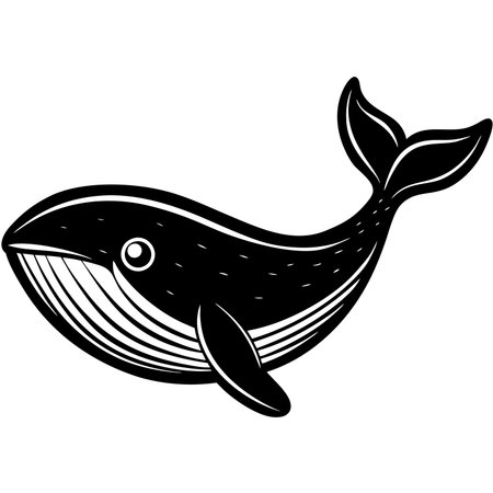 Whale illustration isolated on white background in black and whiteのイラスト素材