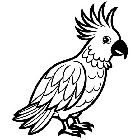 Cartoon cockatoo isolated on white background in black and whiteのイラスト素材