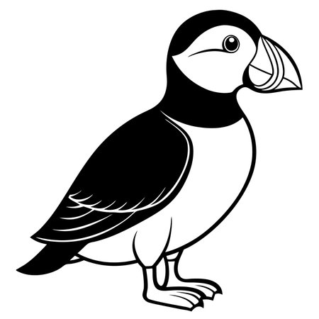 Puffin isolated on white background, a seabird with colorful beakのイラスト素材