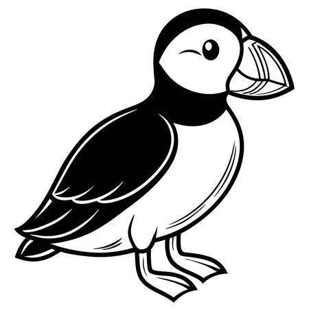 Puffin isolated on white background, a seabird with colorful beakのイラスト素材