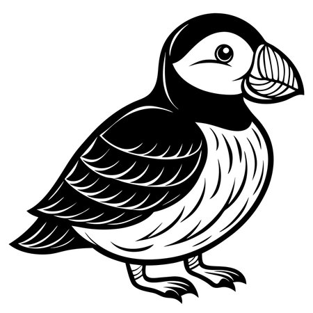 Puffin isolated on white background, a seabird with colorful beakのイラスト素材