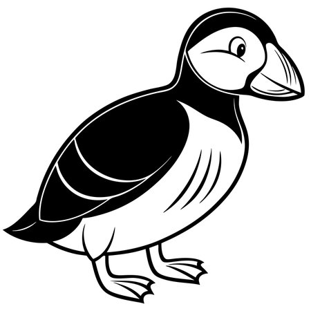 Puffin isolated on white background, a seabird with colorful beakのイラスト素材