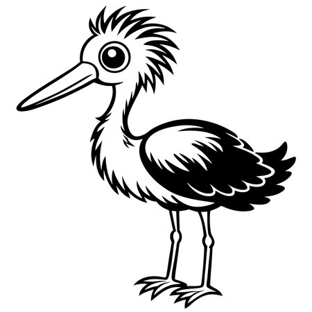 Wading bird with long beak isolated on white backgroundのイラスト素材