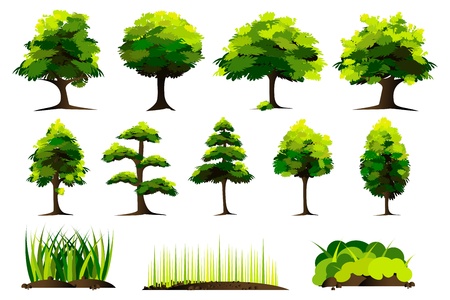 illustration of set of tree on isolated white backgroundのイラスト素材