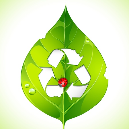 illustration of bug biting leaf forming recycle symbolのイラスト素材