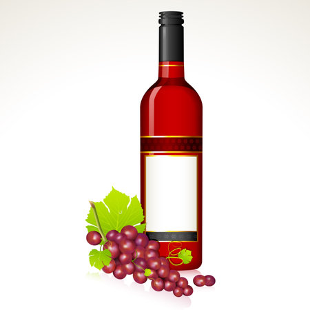 illustration of red grape with bottle of red wineのイラスト素材