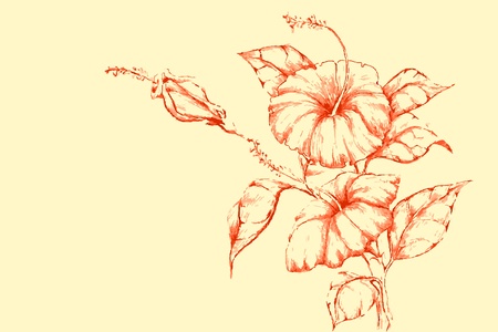 lllustration of retro flower on plain backgroundのイラスト素材