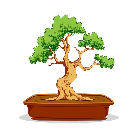 illustration of bonsai tree in earthen pot on white backgroundのイラスト素材