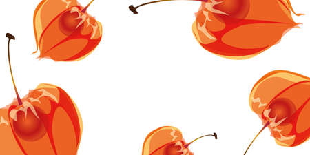 Physalis background with free space. Winter cherry background.のイラスト素材