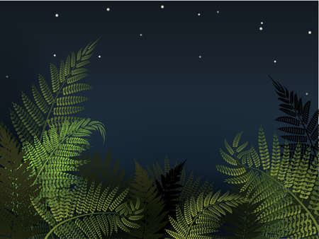 Forest fern with night sky vector illustration. New Zealand background.のイラスト素材