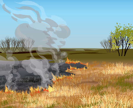 Fire in the field. Dry grass field in fire vector illustration.のイラスト素材