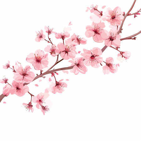 Cherry blossom branch isolated on white background. Vector illustration.のイラスト素材