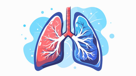 Lungs anatomy. Vector illustration in flat cartoon style. Isolated on white background.のイラスト素材