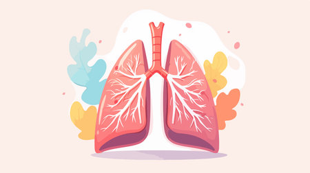 Lungs anatomy vector illustration. Lungs anatomy vector illustration.のイラスト素材