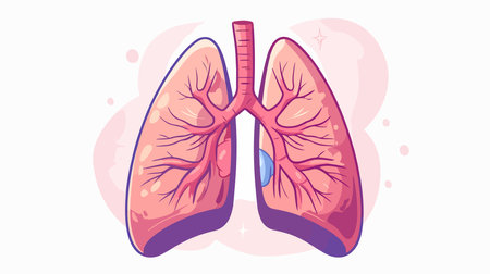 Lungs anatomy. Human internal organs. Vector flat illustration.のイラスト素材