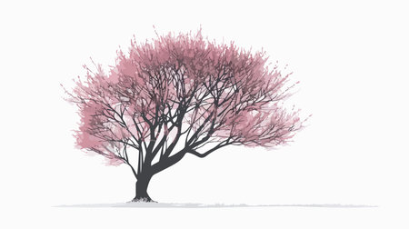 Pink cherry blossom tree isolated on white background. Vector illustration.のイラスト素材