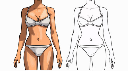 Illustration showing a swimsuit design with outline comparisonのイラスト素材