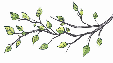 Hand-Drawn Eco-Friendly Tree Branch Doodle Icon with Summery Leafy Greeneryのイラスト素材